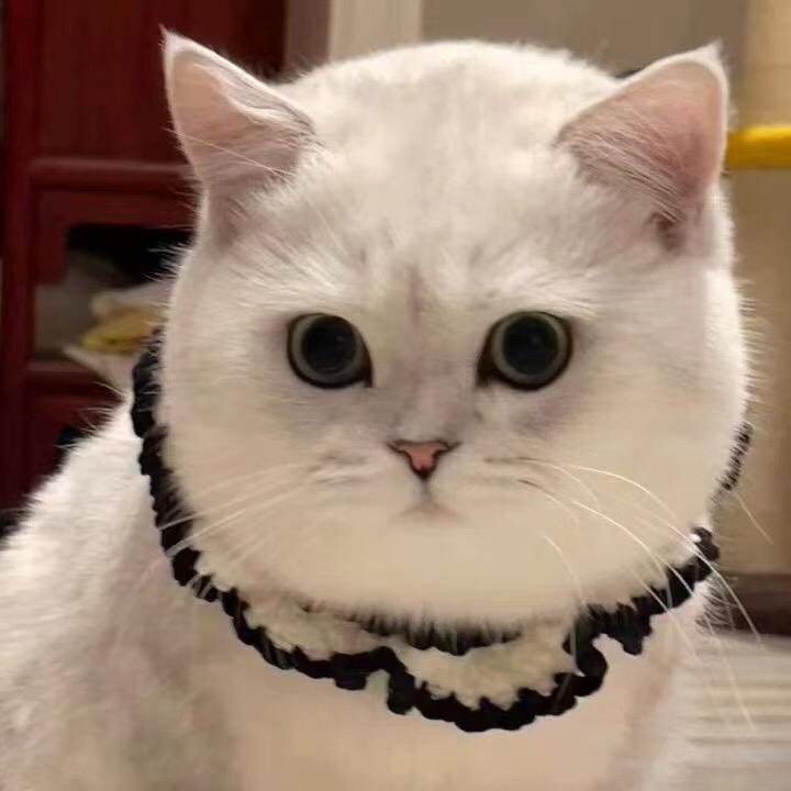 冰冷の毓