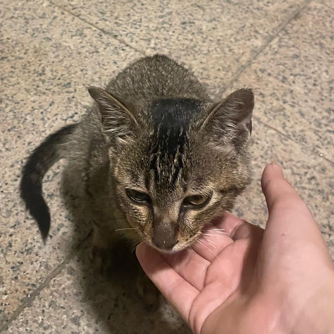 羽绒服品牌第一天直播