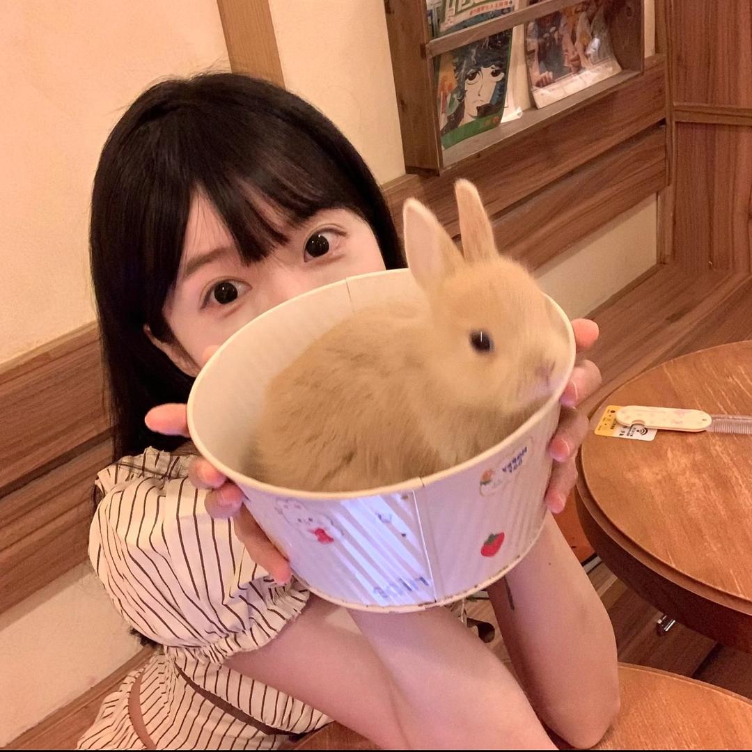 兔子小姐