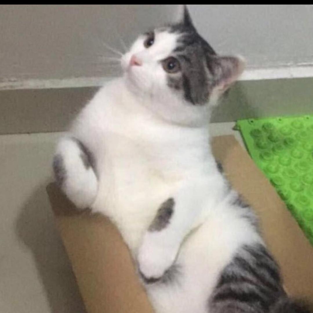 你不能捉我喔