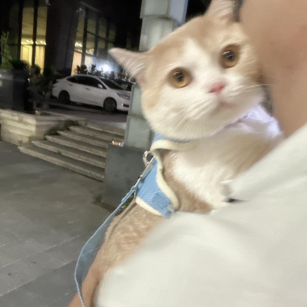 曦曦呀♡.