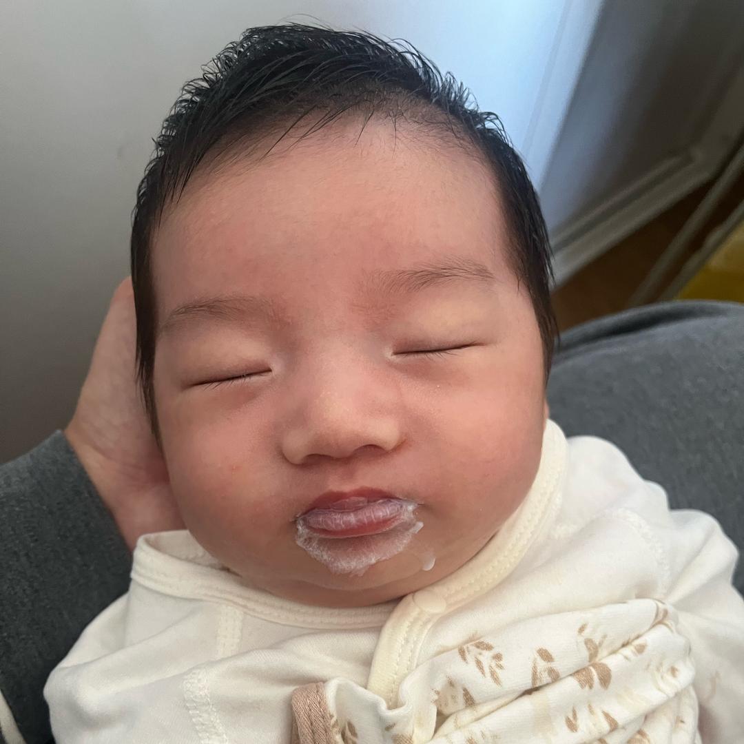 汉堡包（成长版）