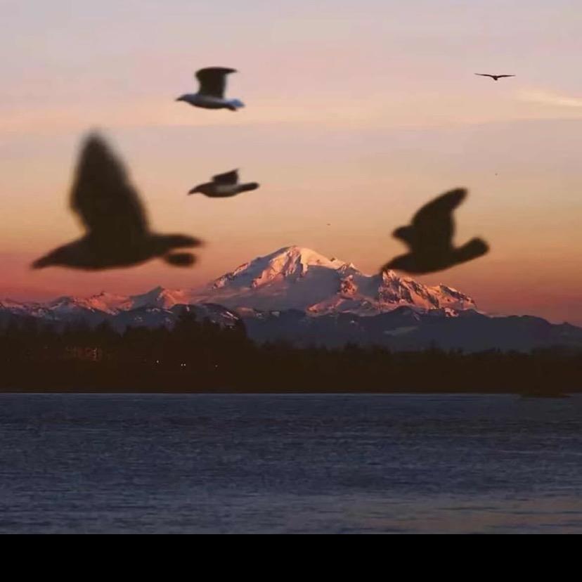 牛哥说电商（不收米）