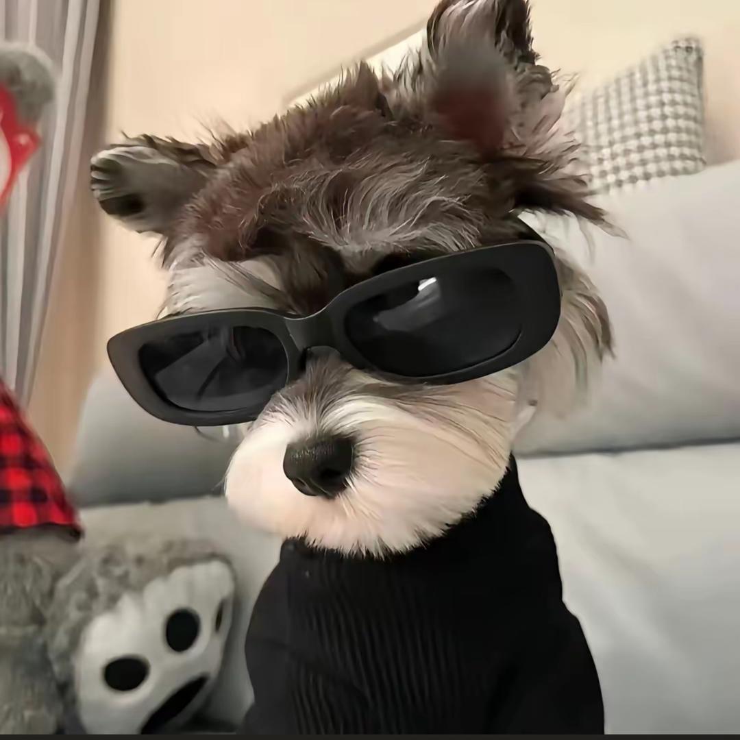 无所谓必要的时候我会瞎练