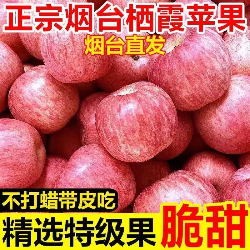 家有果园小铺