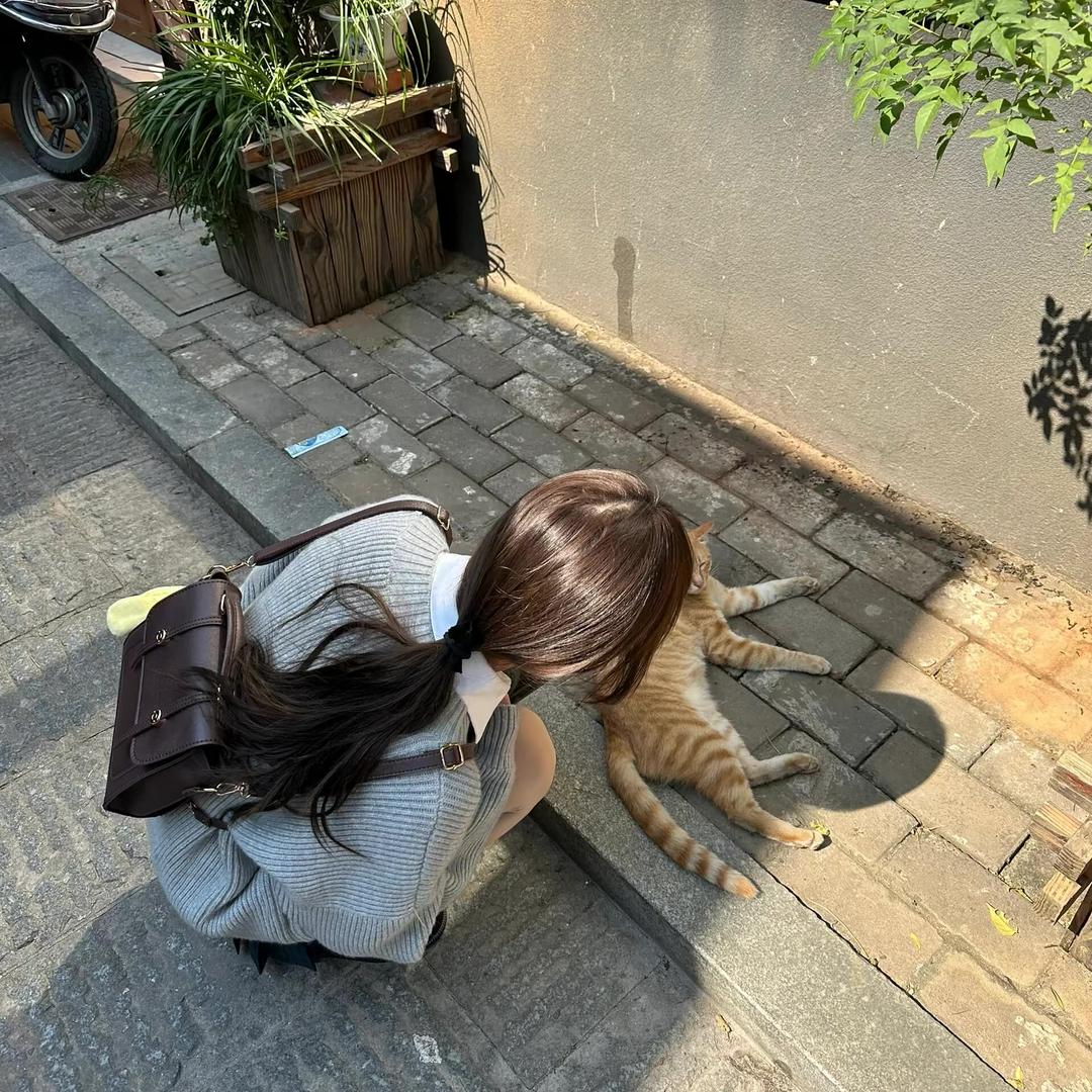 Huhuฅ՞••՞ฅ