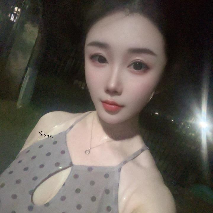 琴宝🎵