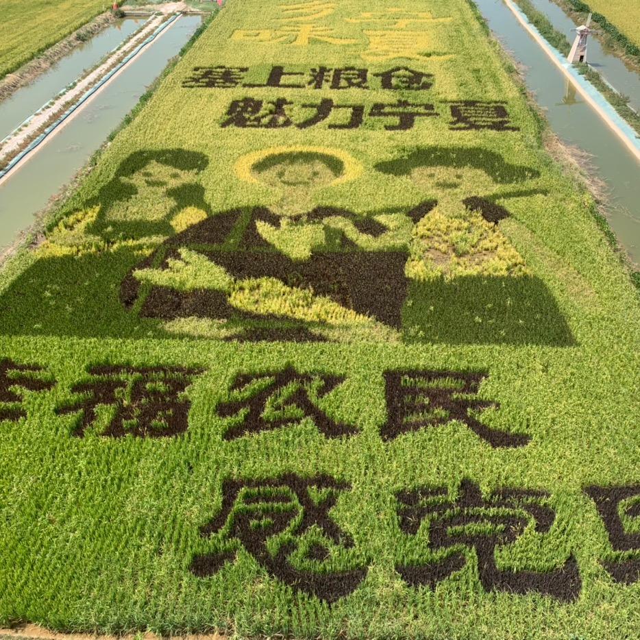 常在我心头像