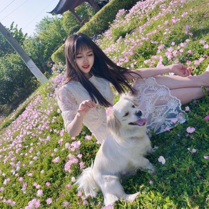 梦女孩🌟