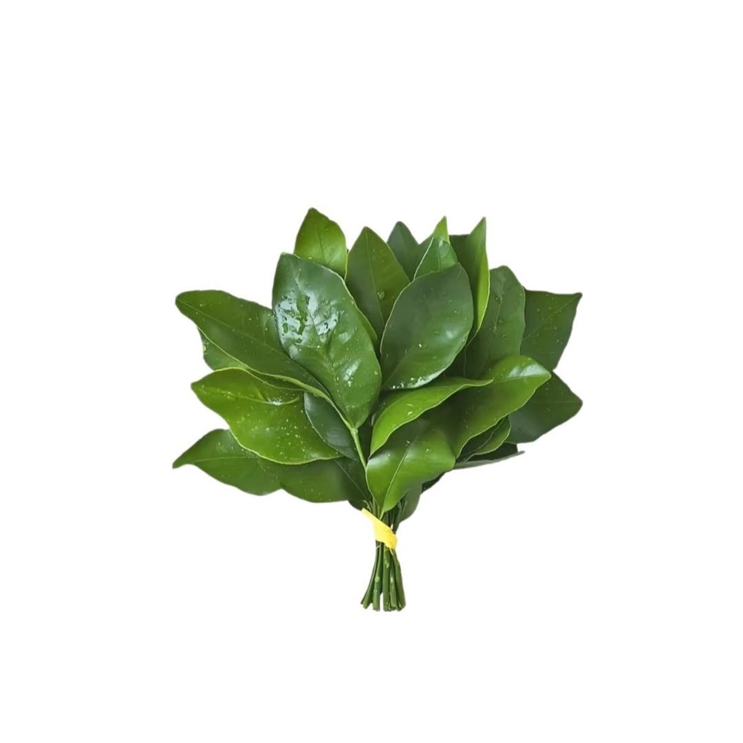 欧米伽
