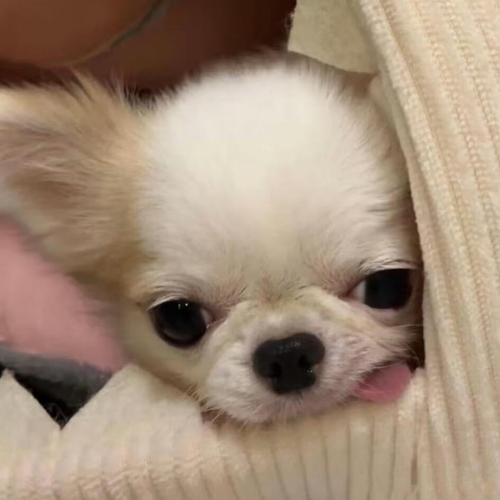 银耳羹