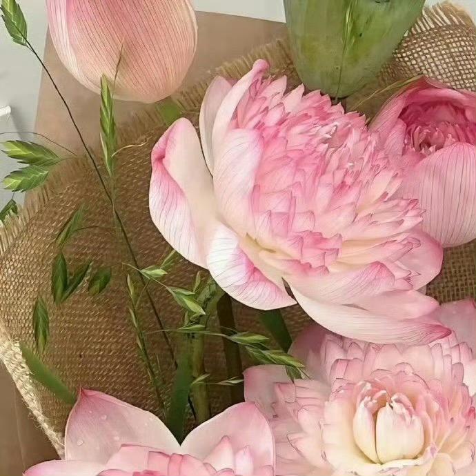 希希菇凉爱吃饭👧