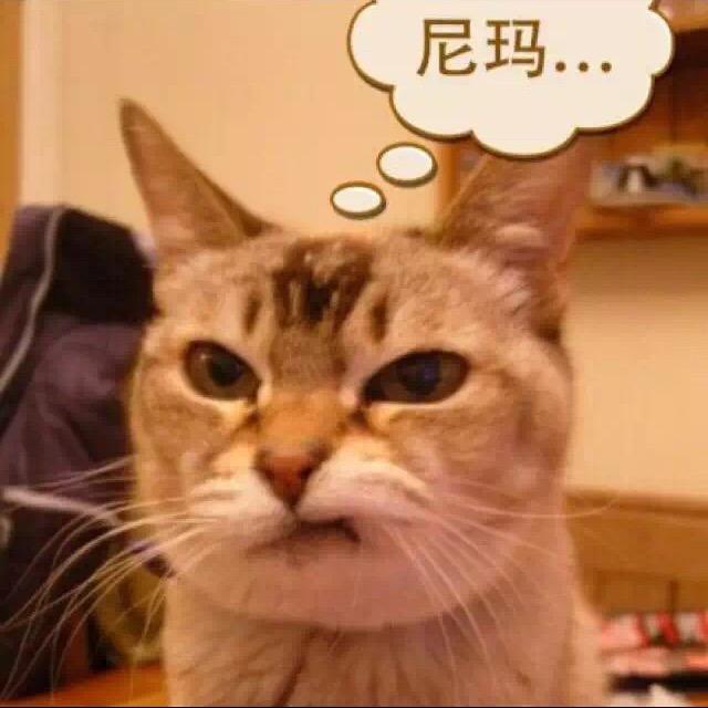 离歌