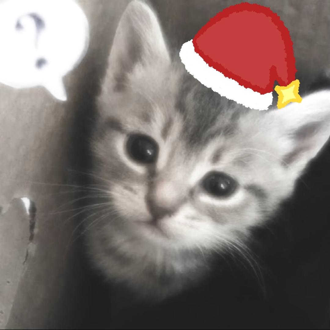 有个女孩让我好想念