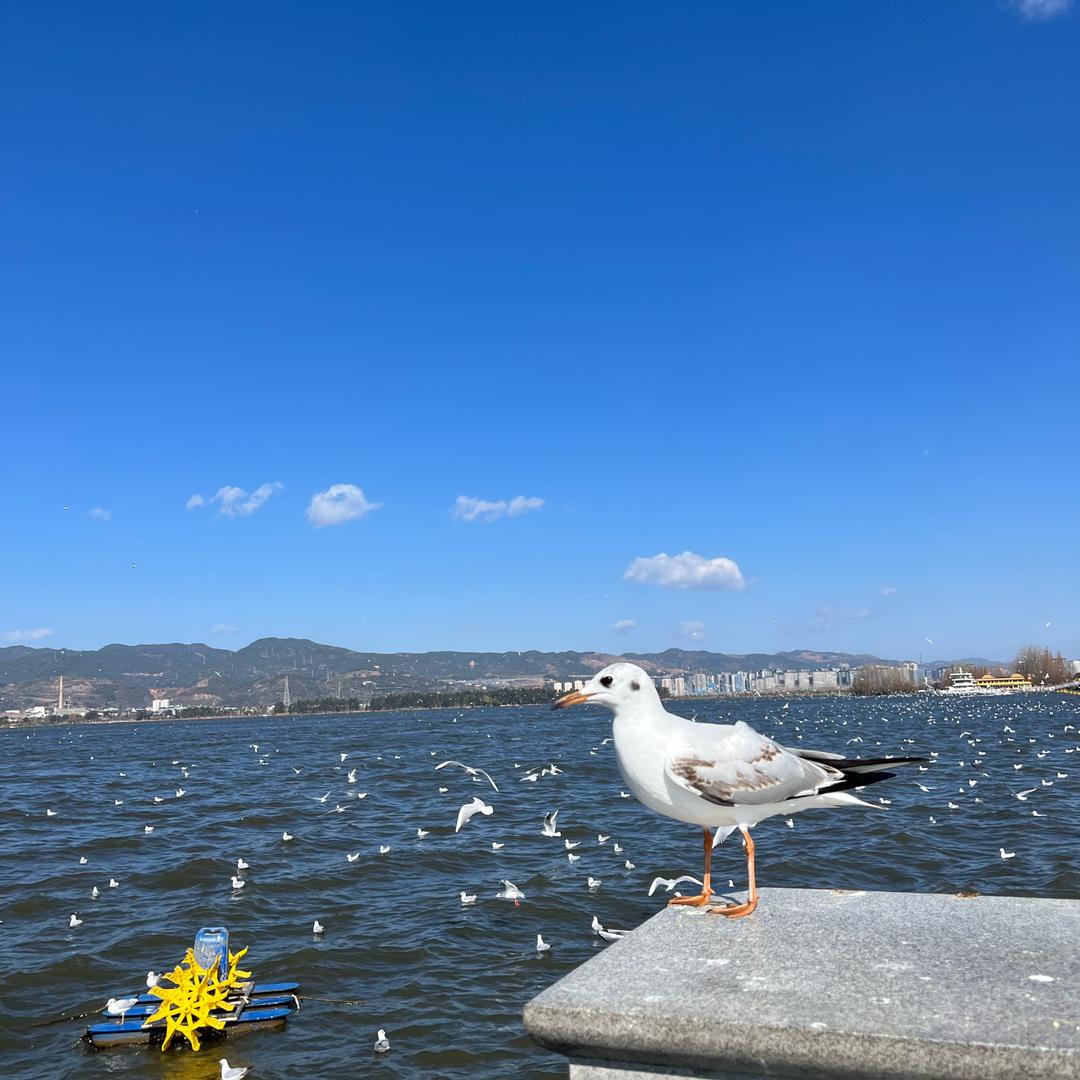 玉华