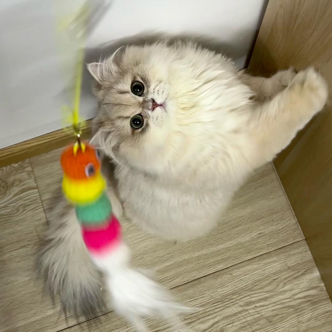 踢到棉花了