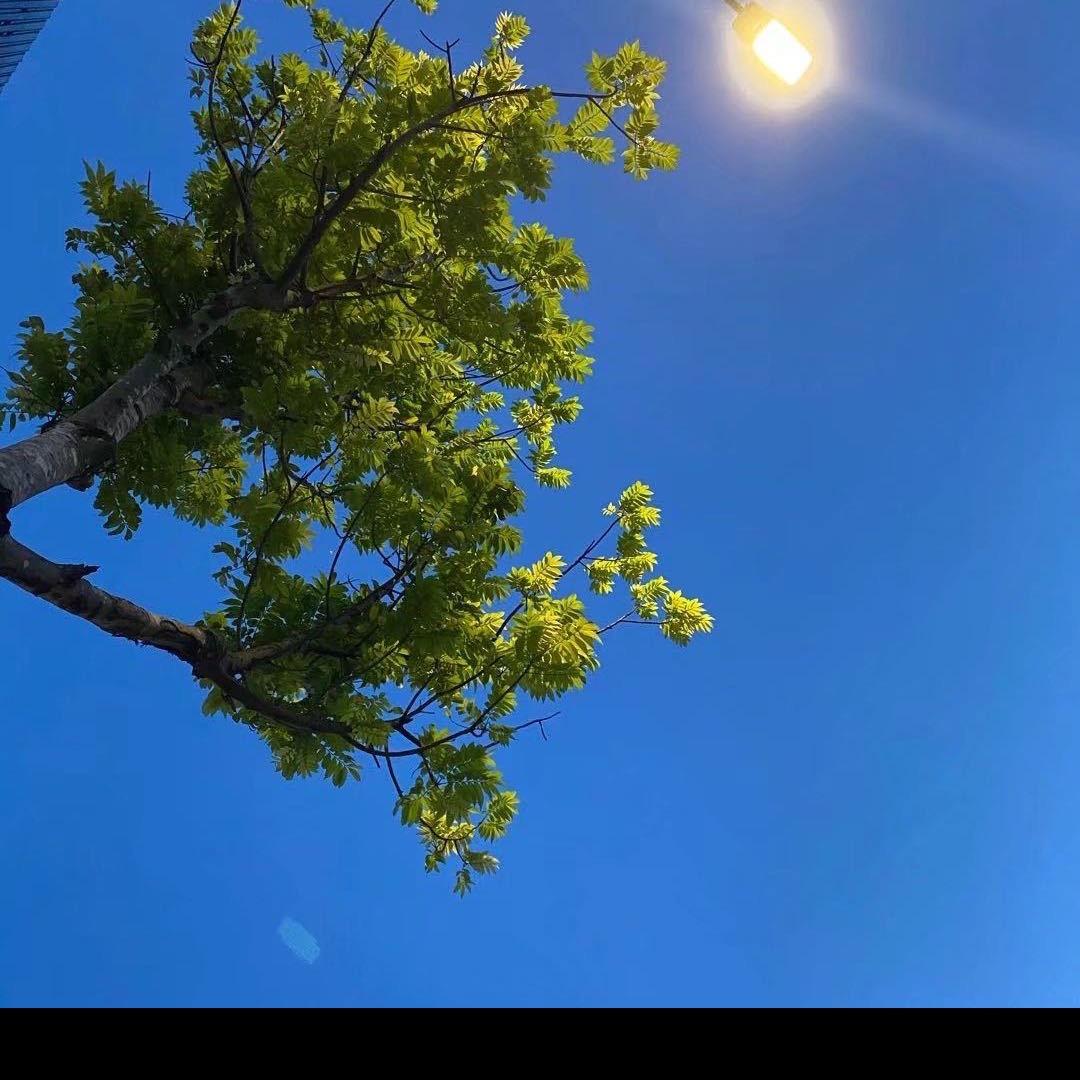 昱