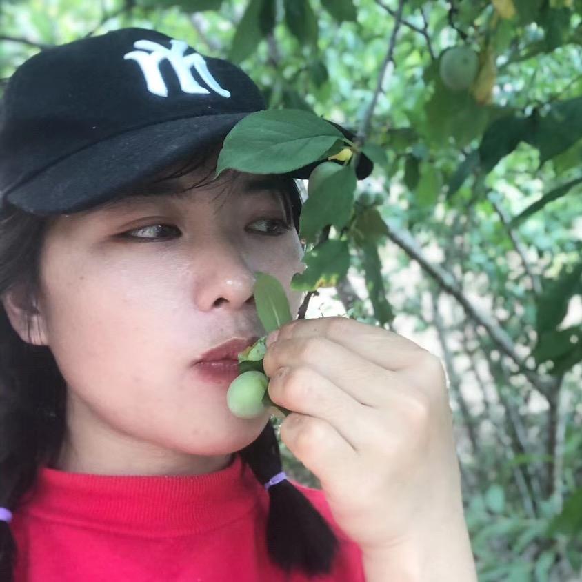 普洱小瑞