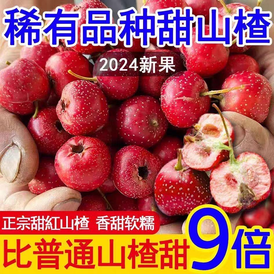 鹏梨果树苗木专营店