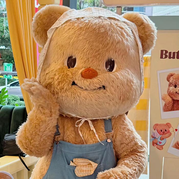 普洱租房指南（带你看房）🏠