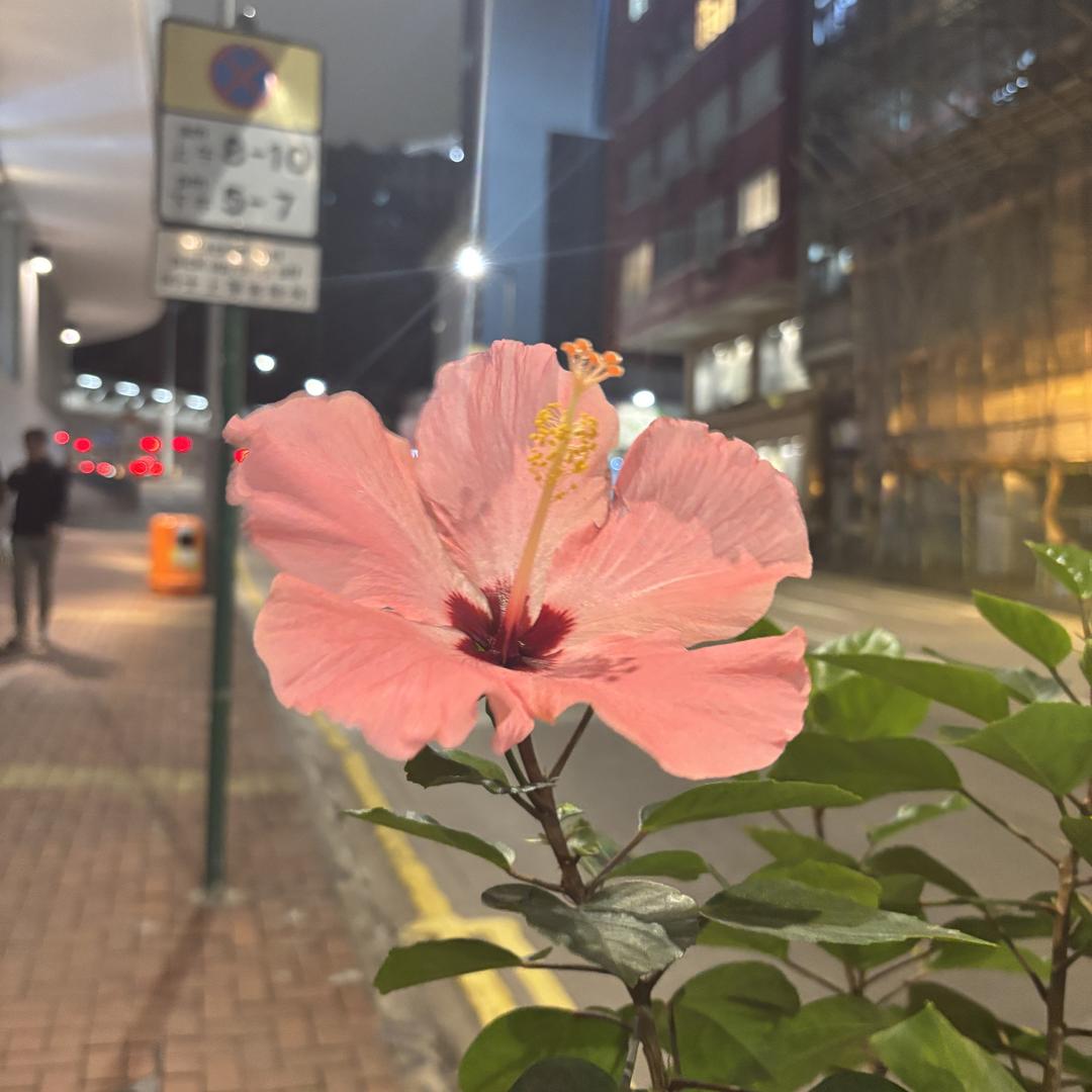 微