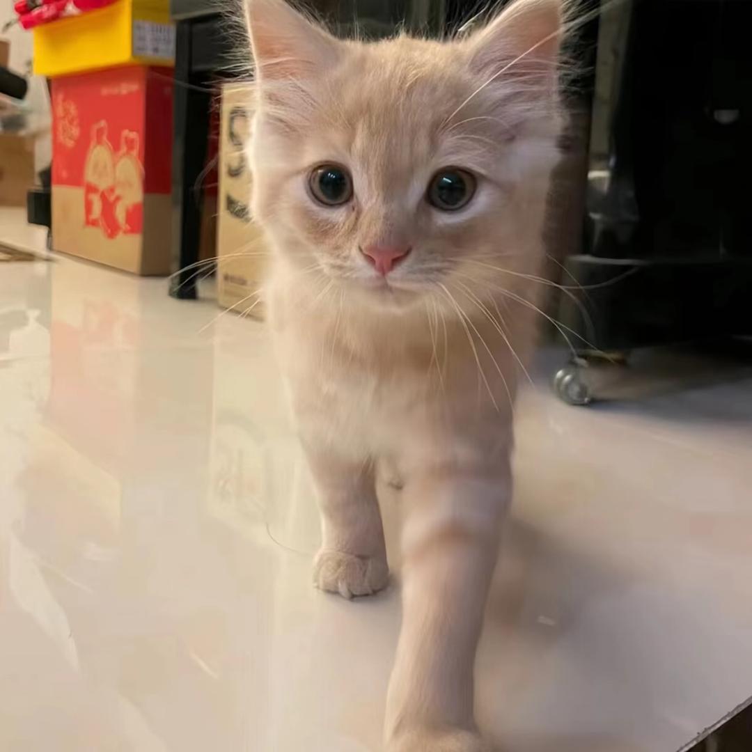 绝经后遇到爱