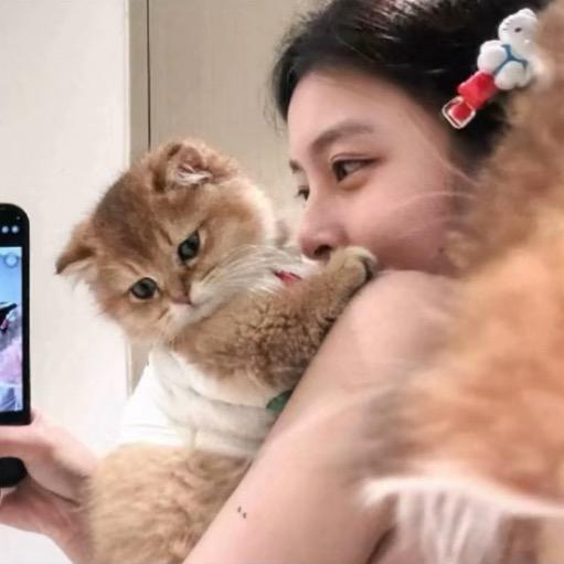 @想睡个好觉
