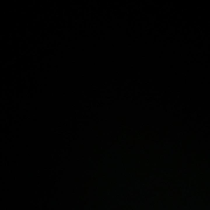达尔文