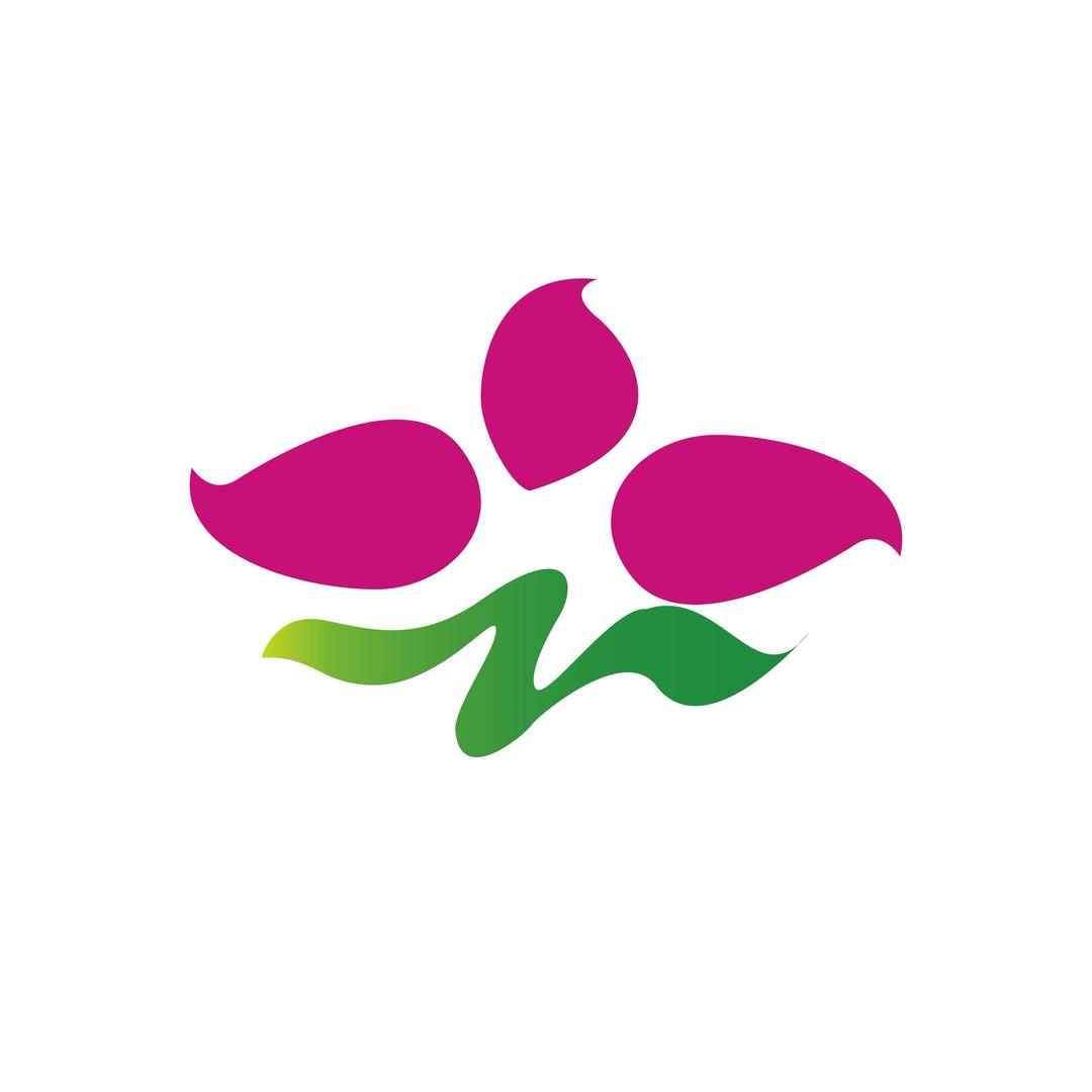 畅游港澳