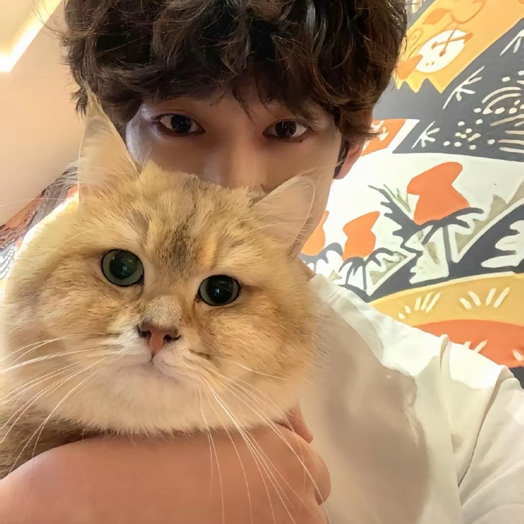 赵大大(王者荣耀)