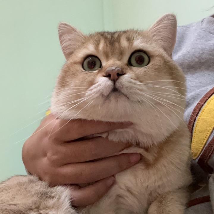 CMH沐沐
