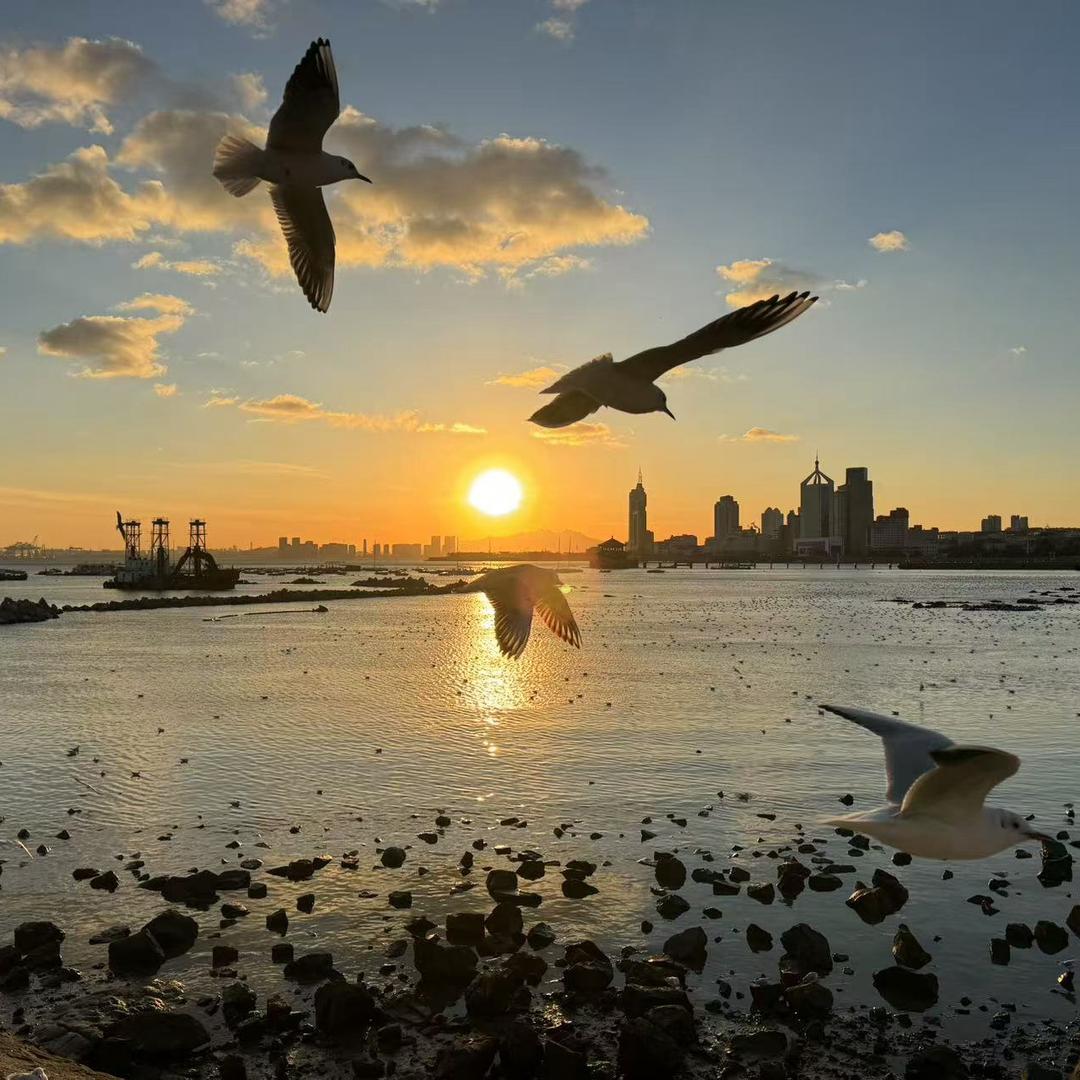 人生路上人来沒有一帆风顺