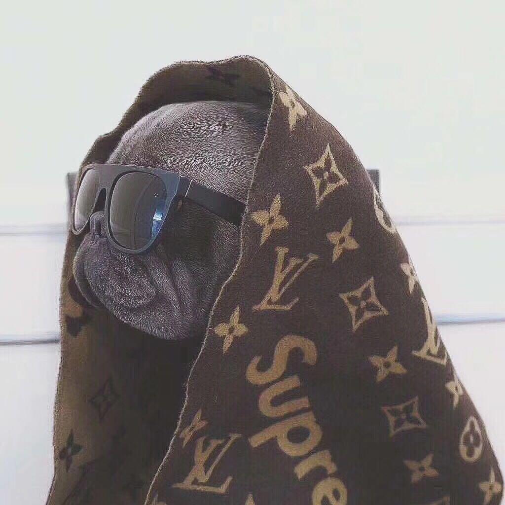 🔱 天道酬勤