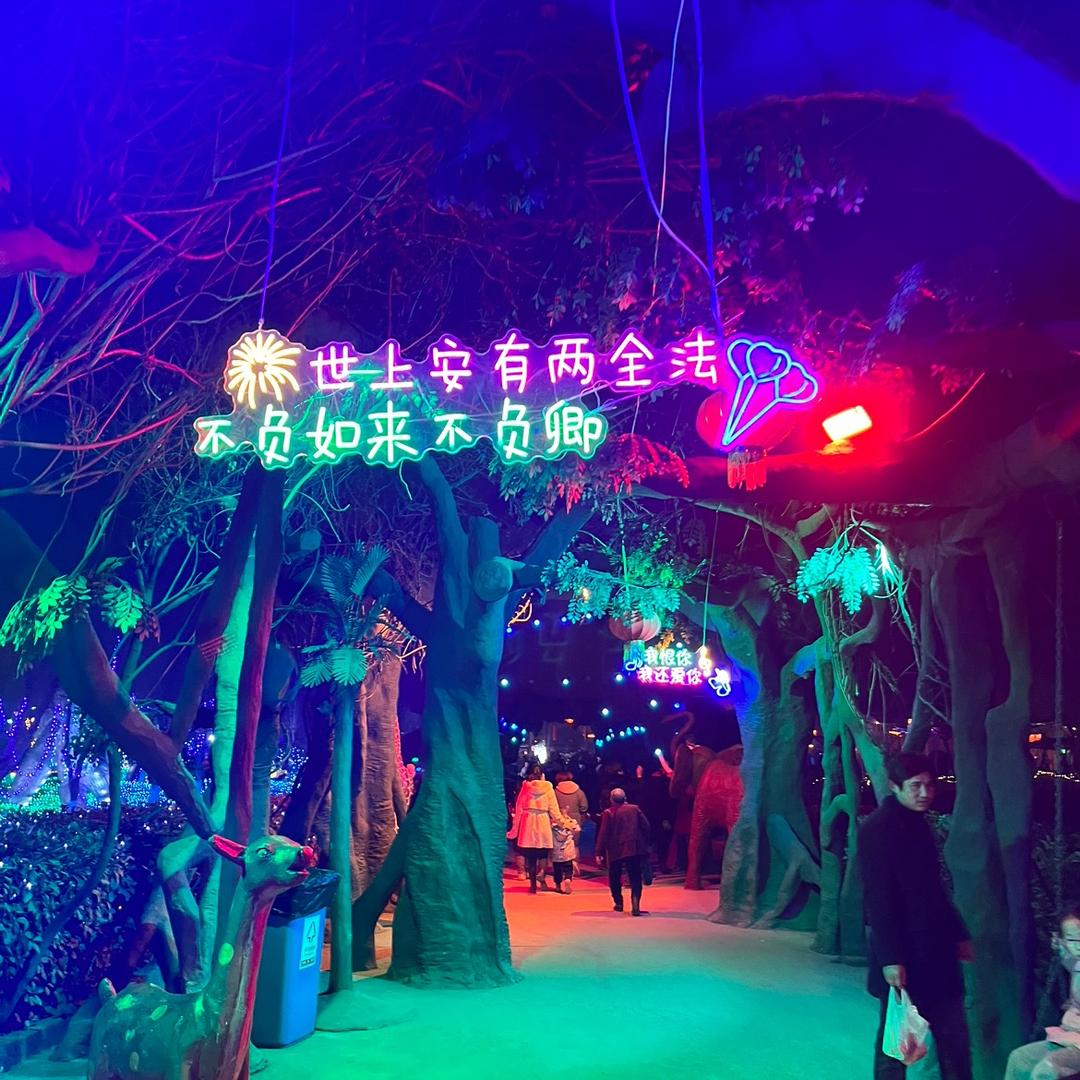 踏雾挽风、