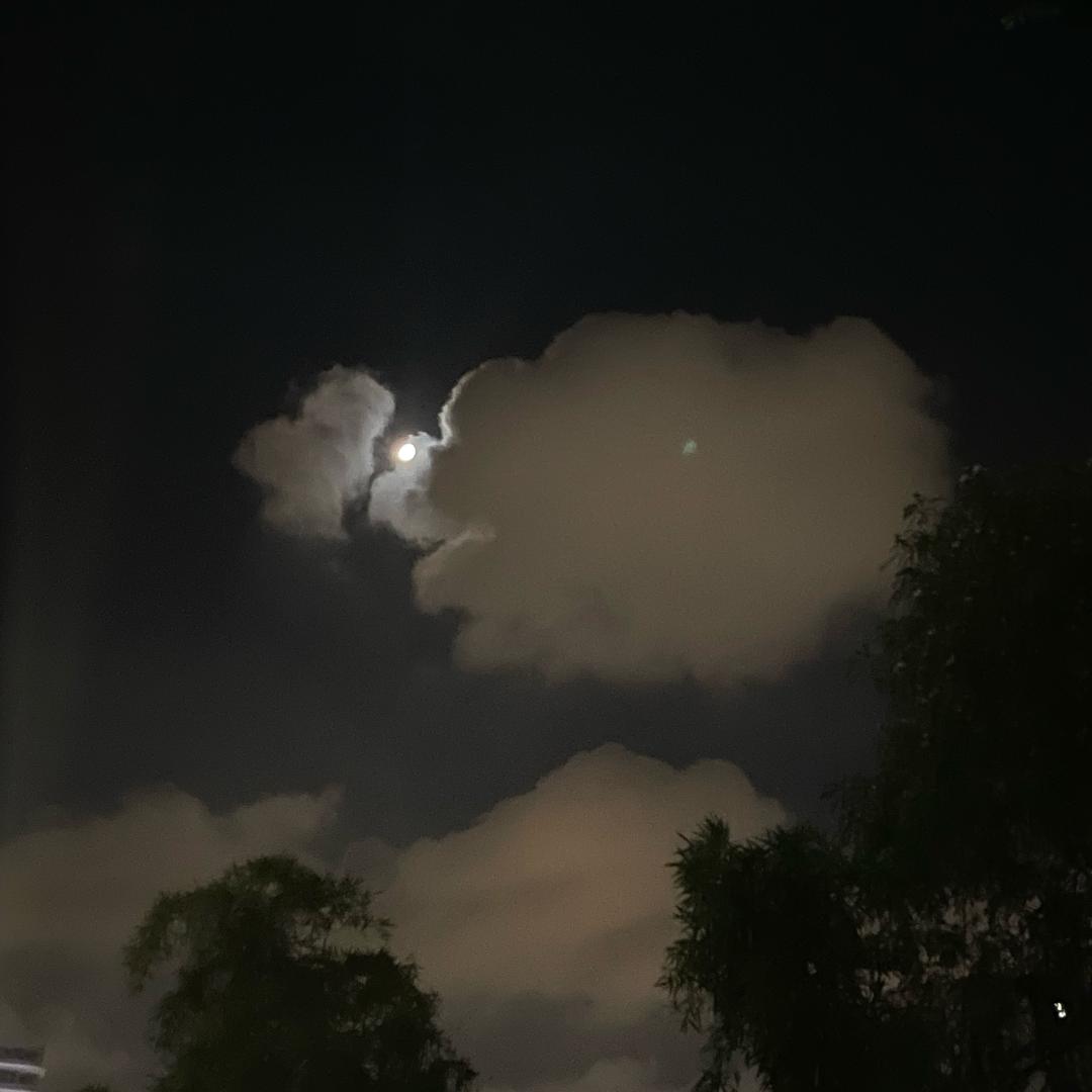 阿有的小世界