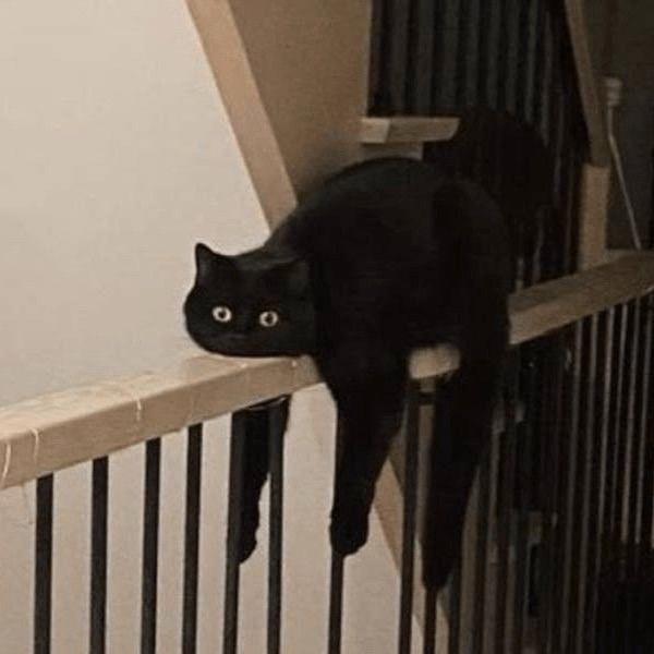 洪贵通讯逗狮榀贸易