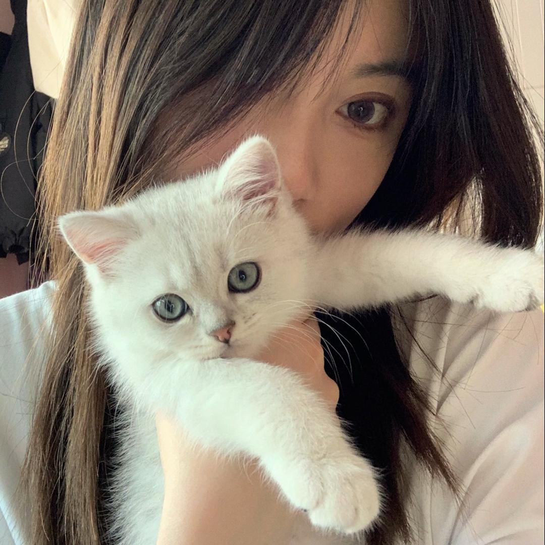 汤圆不爱喵.
