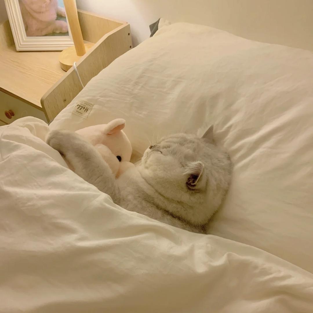 西一奥 ෆ ͒