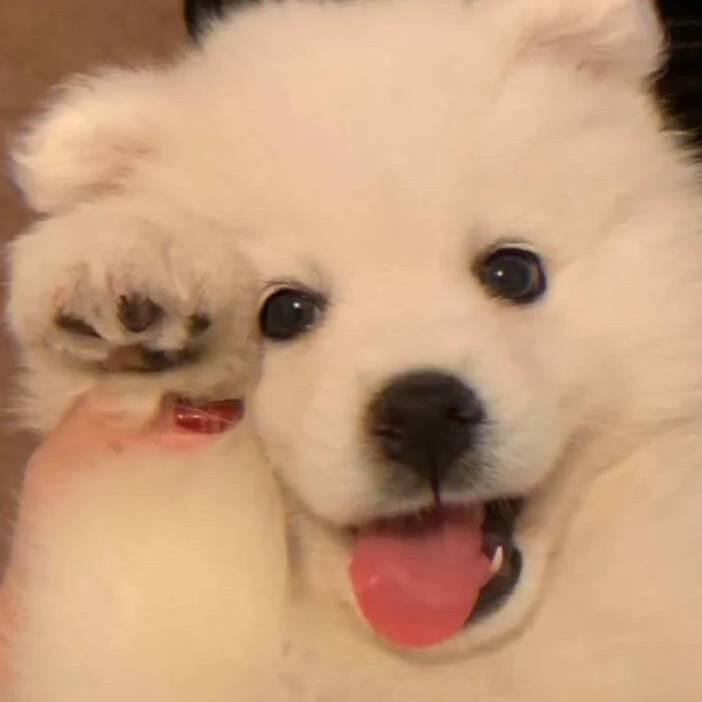 啊啊啊博啊..🇨🇳