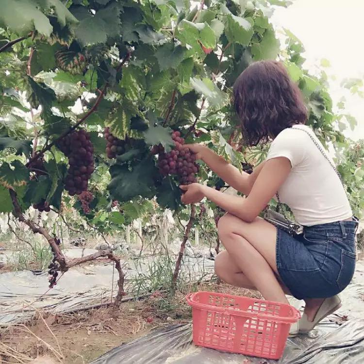 广州锐于电子科技有限公司