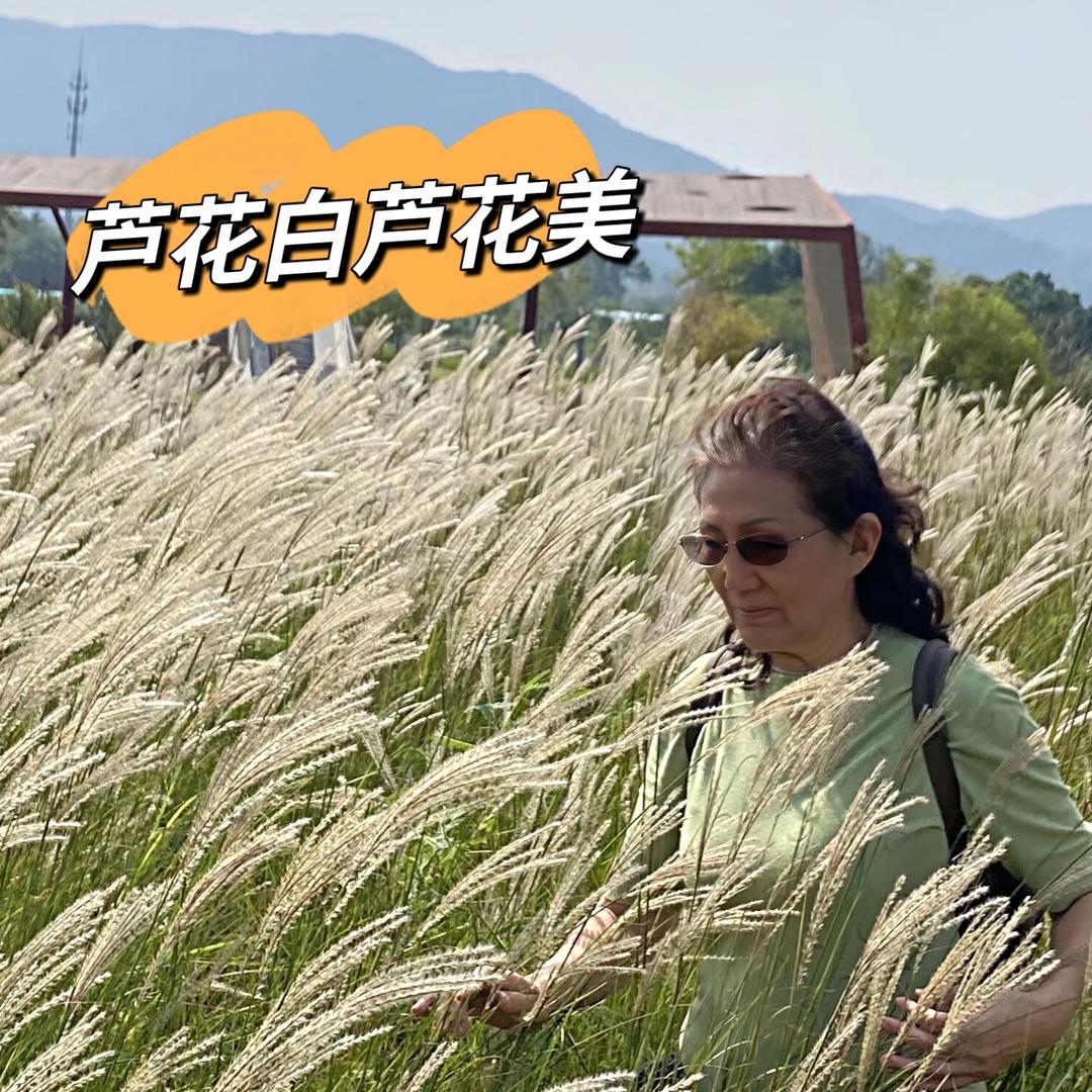 平儿