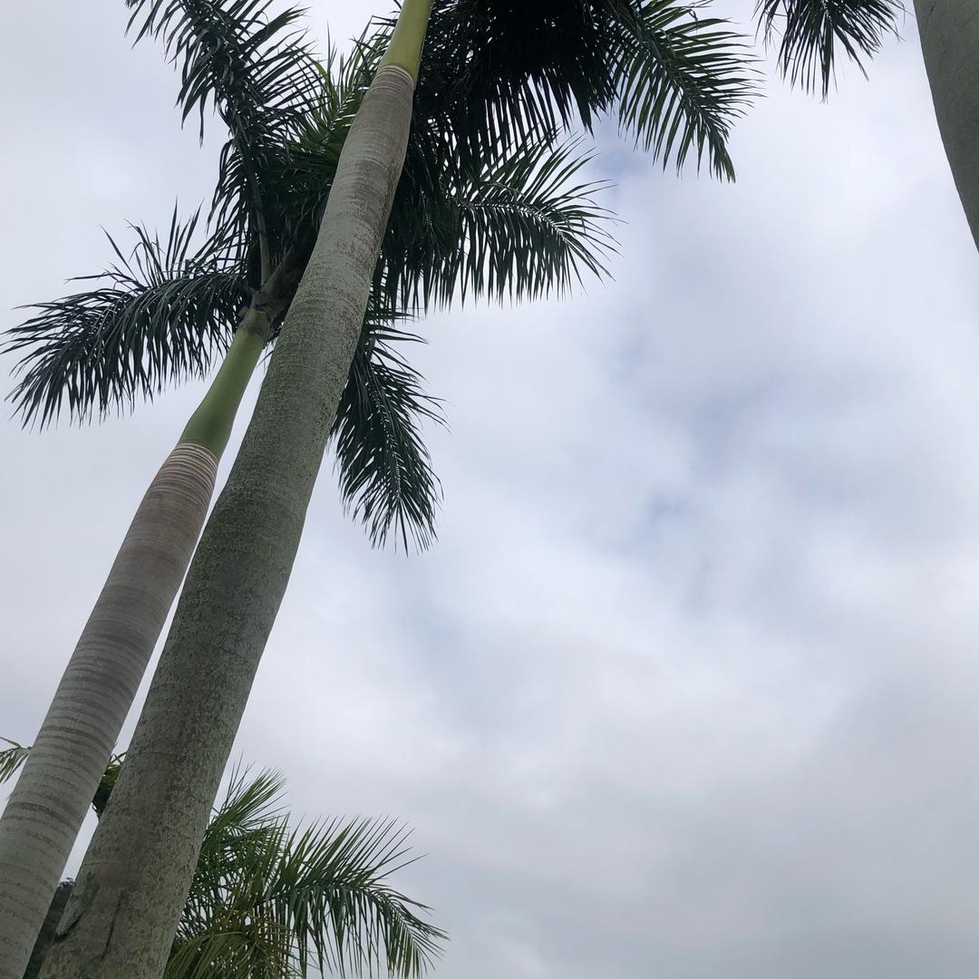 重庆火锅串串香