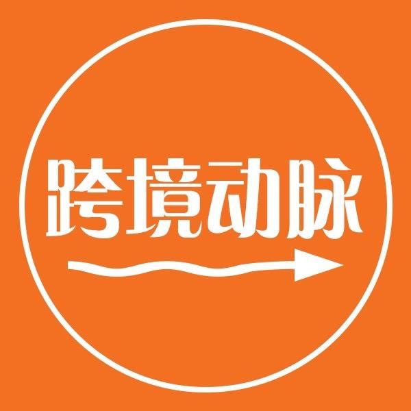 跨境动脉
