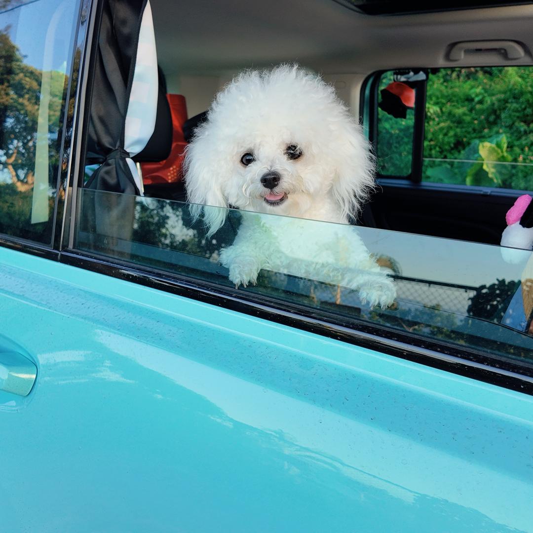 无畏精神小伙#30287别吃咯