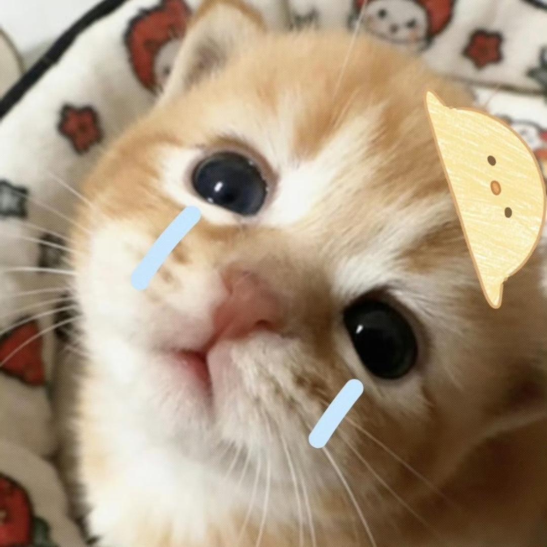 洋葱葱头像