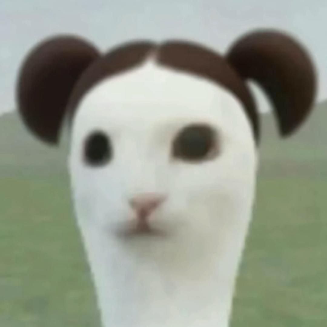 我不是粥粥同学