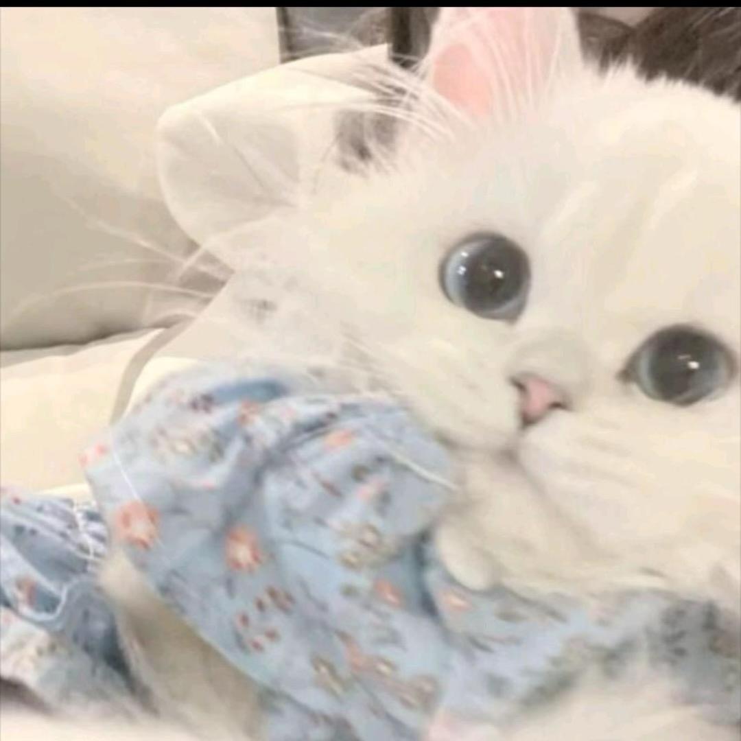 ￴前奏诗