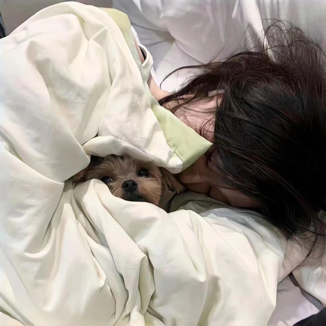 犯困蛋挞io0