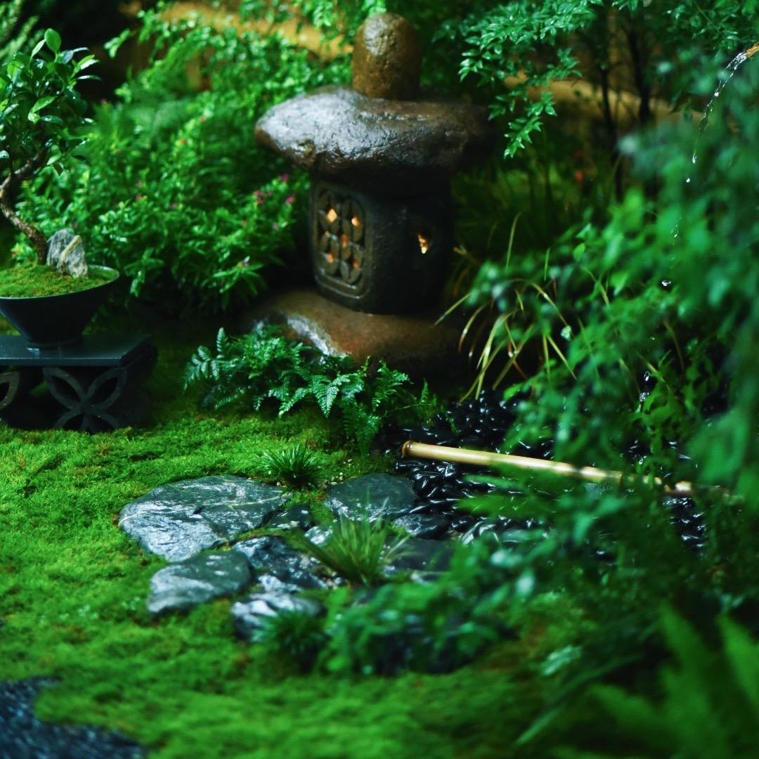 秋沐植艺微景