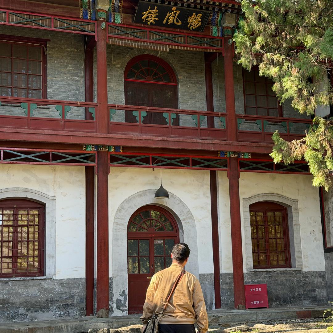 哲学系在逃野马